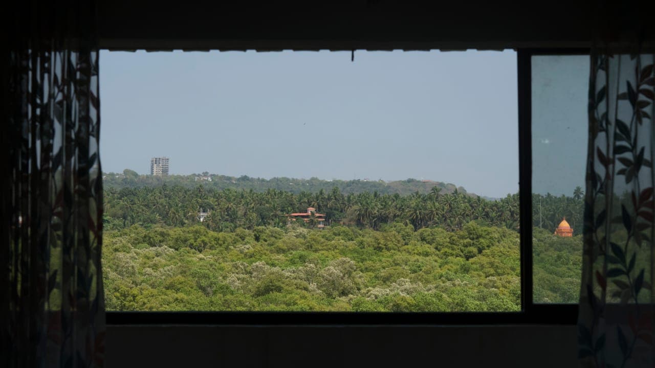 Main stay photo